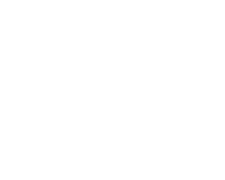 Logo Setinsas